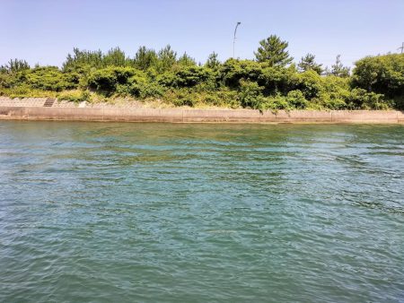 ロックフィッシュ狙いに