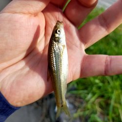 今年は、いまいち?