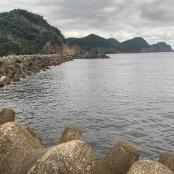 久しぶりのアジング 31センチ