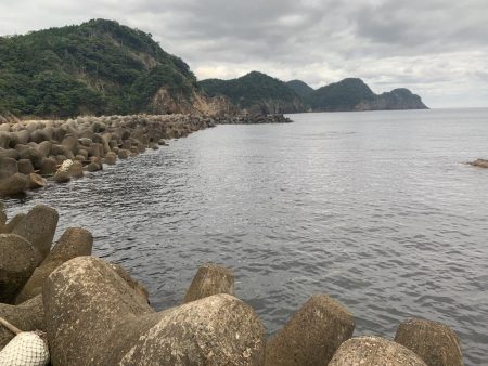 久しぶりのアジング 31センチ