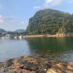 今日もアジフライ