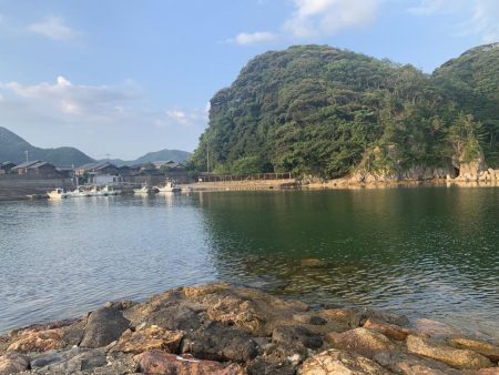 今日もアジフライ