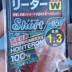 久美浜でイカメタル