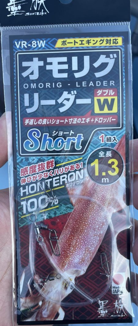 久美浜でイカメタル