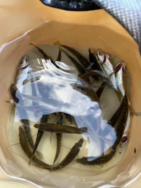 海の日、猛暑の日