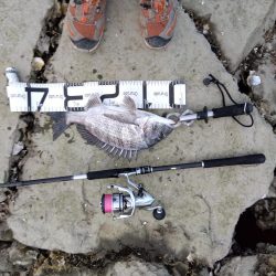 7月ようやく釣れた。今年は釣れないかと思い心配だった