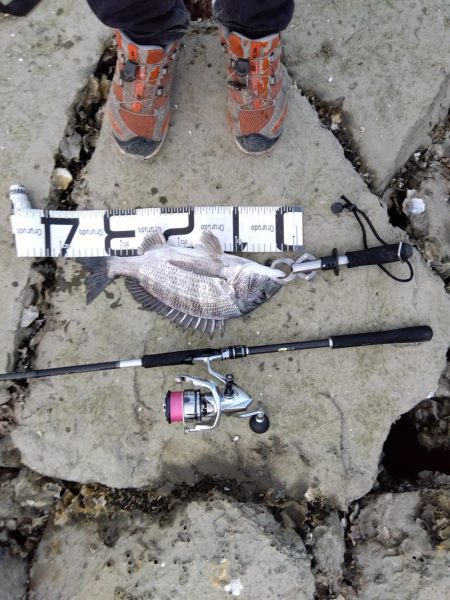 7月ようやく釣れた。今年は釣れないかと思い心配だった