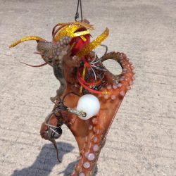 体調悪くてもタコ