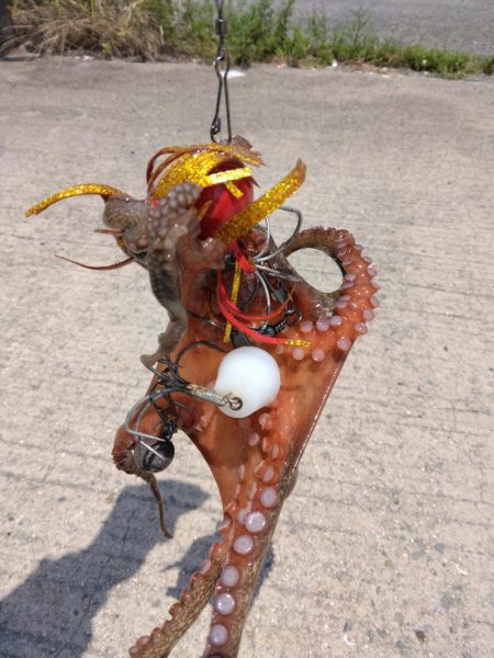 体調悪くてもタコ