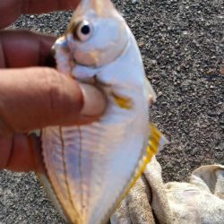 シーズン初の津居山釣行