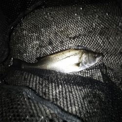 気持ちいい北風