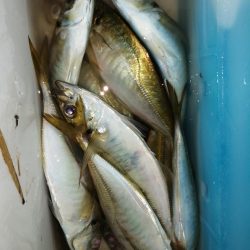 戻ってきました？