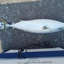 スーパーライトショアジギング