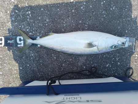 スーパーライトショアジギング