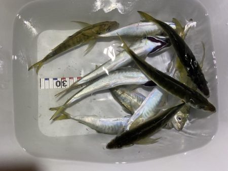 悪コンデション