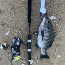 夕まずめにシーバスを狙いに