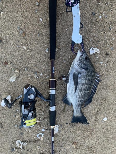 夕まずめにシーバスを狙いに