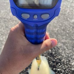 ありがとくしま