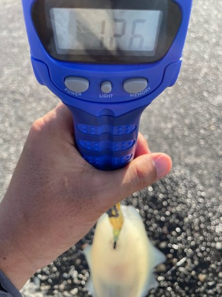 ありがとくしま