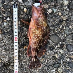 ゴールデンウィーク以来の釣り