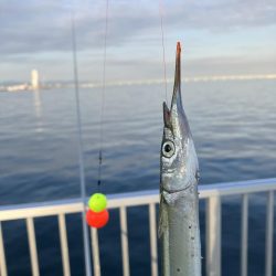 サバサバサバサバサヨリ