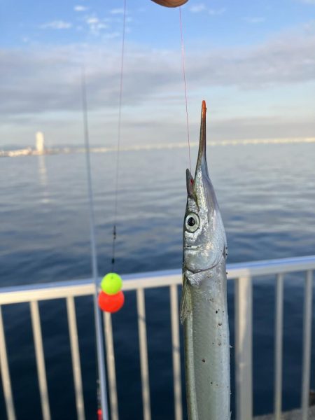 サバサバサバサバサヨリ