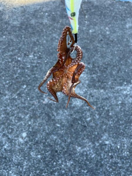 640gとリリースサイズ