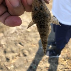 サーフでキス狙い