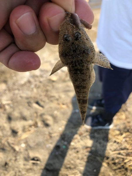 サーフでキス狙い