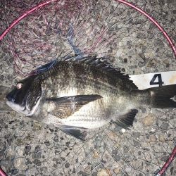 久しぶりの再会