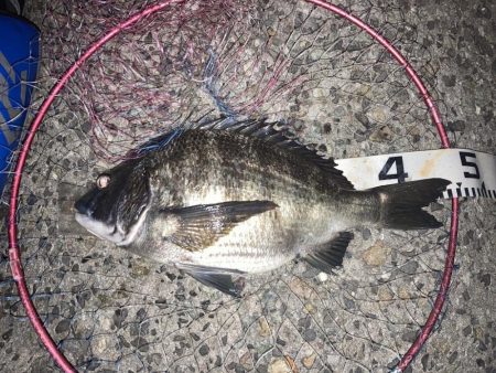 久しぶりの再会