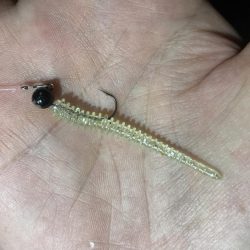 夜な夜なアジング