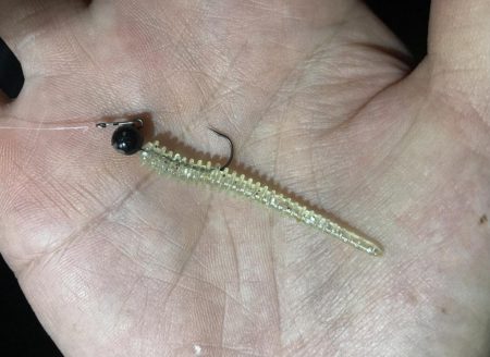 夜な夜なアジング