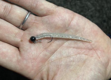 Newロッド鱗付けで、つ抜け！