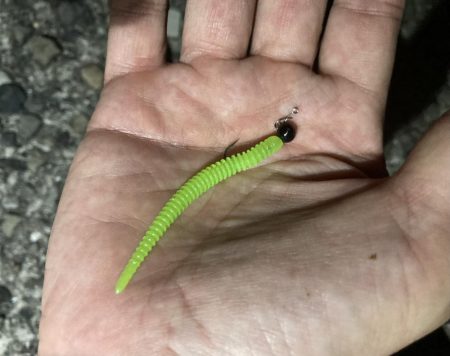 最終日、サイズアップ成らず!