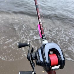 チニングだったのに