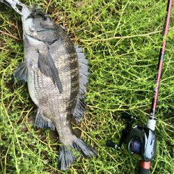雨でも釣行！！