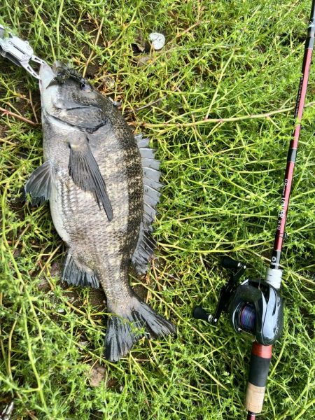 雨でも釣行！！