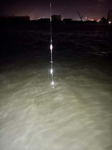 サビキ無双への糸口？