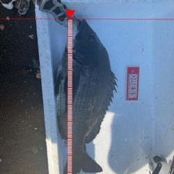 朝から日が落ちるまで！！