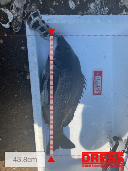 朝から日が落ちるまで！！