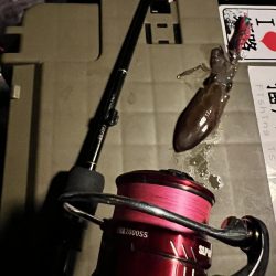 ありがとう！！ヒイカさん