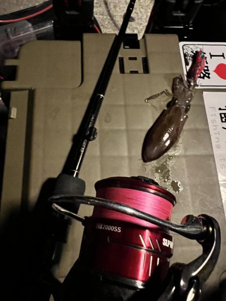 ありがとう！！ヒイカさん