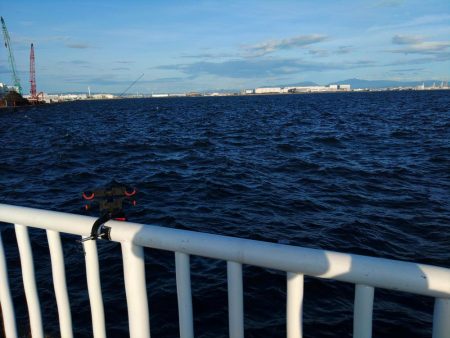 サンバソウいました