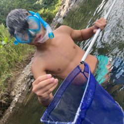 和歌山有田川でテナガエビ