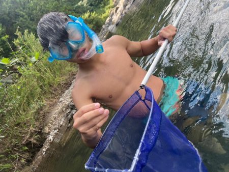 和歌山有田川でテナガエビ