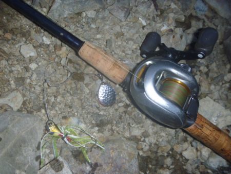 七月のなまずその２