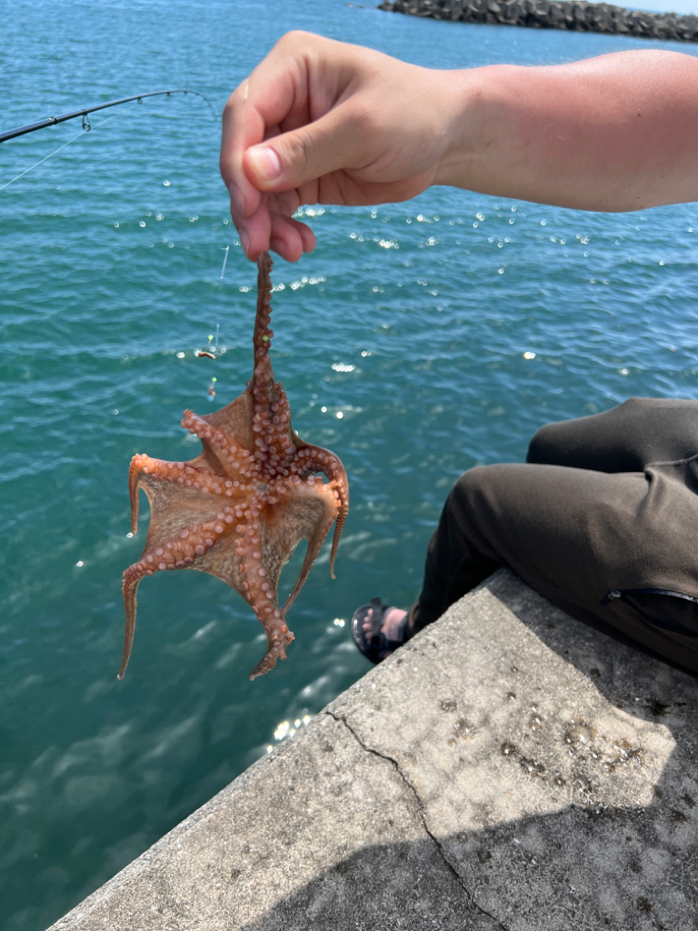 久しぶりの釣行