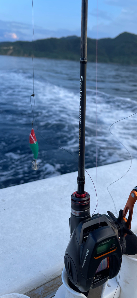 イカメタル&オモリグ