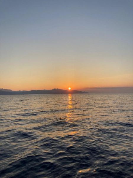 イカメタル#3、#4